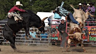 Los Destructores Compraron 2 Toros En Este Torneo De Toros De Reparo USA 🇺🇸 2023 [upl. by Leeban]