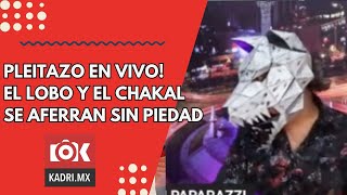 AGARRÓN DE MIEDO ENTRE EL LOBO Y EL CHAKAL Y TODO POR LOS HIJOS [upl. by Lewes33]