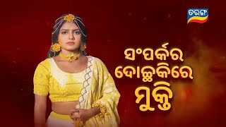 Mo Sindurara Adhikara  Episodic Promo1383  24th Nov 2024 830 PM  Tarang TV  Tarang Plus [upl. by Anitsirk]