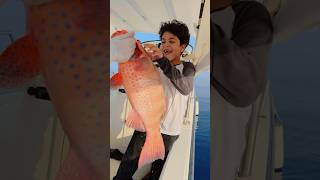 fishing صيد fish سمك بحر صيدالسمك sharklife اكسبلور الصيد ocean trendingshorts trending [upl. by Gilemette303]