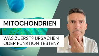 Mitochondrien  Was zuerst Ursachen oder Funktion testen [upl. by Debee]