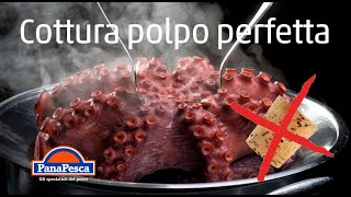 COTTURA POLPO PERFETTA [upl. by Goddord]