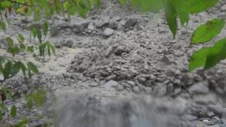 Gomsertal 14102016  Lave torrentielle Murgang debris flow colata detritica [upl. by Ruffina]