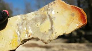 Rockhounding Busiek Park for fossils and speckled chert Branson Missouri [upl. by Greff747]