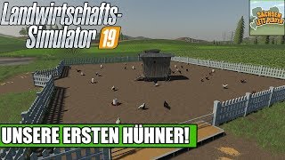 LS19 Tierfarm 02 Unsere ersten Hühner  Landwirtschafts Simulator 19 Felsbrunn [upl. by Marylinda651]