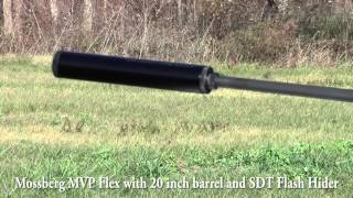 556 Suppressor test [upl. by Allekram562]