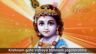 Krishnam Kalayasakhi Sundaram  Balakrishnam Kalayasakhi Sundaram  Lyrics with English Translation [upl. by Filmer]