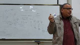 12 Relation between muscle lengthtension amp velocity of contraction Part II [upl. by Olpe965]