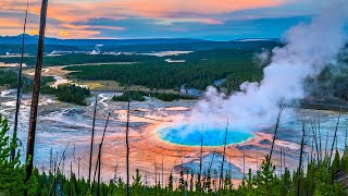 Yellowstone LIVE [upl. by Sayres]