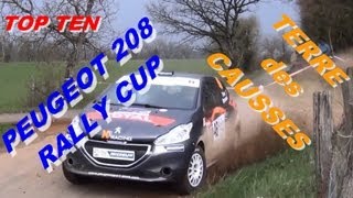 PEUGEOT 208 RALLY CUPTerre des Causses 2013le top ten [upl. by Ahsaeym]