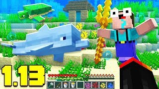 NEW MOBS  OCEAN RUINS  WEAPONS IN MINECRAFT 113 AQUATIC UPDATE [upl. by Esinyt]