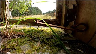 Old Abandoned 1800s Cottage  SCOTLAND [upl. by Dottie]