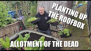 Plantng up the Roof Box [upl. by Ankney]