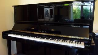 Yamaha Disklavier MX100B plays DuoArt Roll quotSonyaquot [upl. by Esylle929]