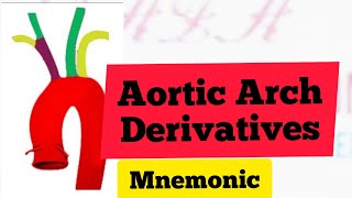 Aortic Arches Derivatives Mnemonic  MedSurvival [upl. by Ymmot709]