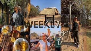 VLOG  DAYS IN HARARE Game drive  kumusha  Sunday reset amp MORE [upl. by Wolford825]