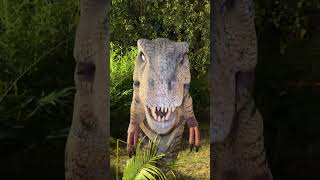 dinosaur duet jurassicworldvfxtrextrexproblemstrexmemeshunaintriassic inaudiojurassicpark [upl. by Hsina]