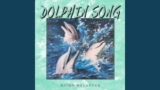 Dolphin Song [upl. by Sirkin]