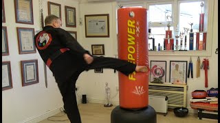 Ki Kong Tang Soo Do  Explosive Round Kick [upl. by Dulsea]