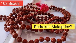 108 beads rudraksh Mala price  8mm size and premium quality rudraksh [upl. by Besnard]