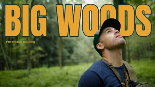 Into the BIG WOODS A preseason scouting film [upl. by Iel]