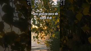 🔴Bestmotivation quotes ll अगर अकेले हो तो इसे सुनो ll 💯youtubeshorts shortvideo shortsfeed [upl. by Shepley]