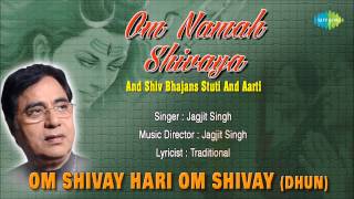 Om Shivay Hari Om Shivay Dhun  Hindi Devotional Song  Jagjit Singh  Superhit Shiv Bhajan [upl. by Hallutama]