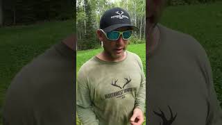 4 Variety Clover Food Plot Mix foodplots whitetaildeer deer deer clover [upl. by Nikoletta]