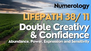 Numerology Life Path Master Number 38 11 [upl. by Jere370]