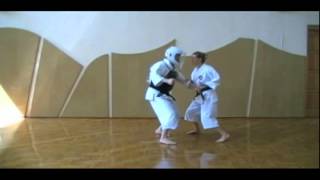 Shorinji Kempo Techniques  2 Kyu Juho [upl. by Conlon]