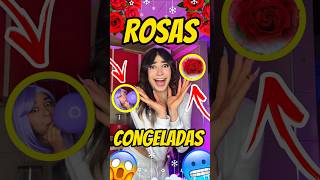 HICIMOS ROSAS CONGELADAS😱🌹🥶🔥 shortsviral [upl. by Ahsinad]