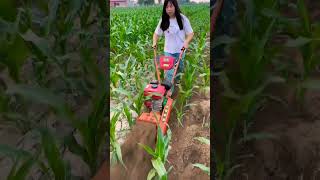 Trenching machine small weeding and trenching machine suitable for pepper fields corn fields👏👏 [upl. by Oidgime329]