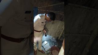 Rescue team police rito03vlog biharpolice rescue team dsp upssc motivation upsc ias ips [upl. by Holmun]