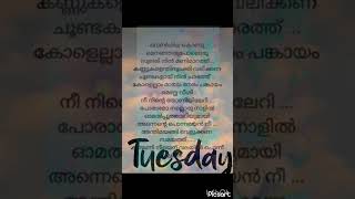 chandukudanjorul chandupottutrendingviralmusic malayalamlyrics shortsfeedsongmoviemoviesong [upl. by Derrek]