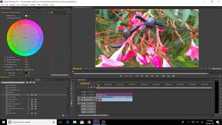 How to Color Grade and Cinemascope on videos  Cinematic effect Premiere proதமிழ் Tamil [upl. by Rich]