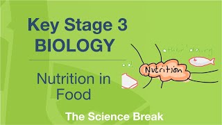 Key Stage 3 Science Biology  Nutrition in Food [upl. by Niatsirhc]