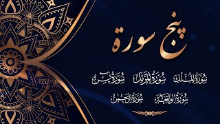 Punj Surahپنج سورۃTilawat E Quran  Surah YaseenRehmanWaqaiMulkMuzamil  Holy Quran Recitation [upl. by Kazim]