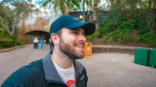 We experienced a very rare day at Disney world [upl. by Leyameg147]