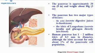 FENFURO An Innovation in Diabetes Management [upl. by Yenittirb]