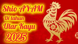 Shio AYAM 🐔 th 2025  Peruntungan di tahun ULAR KAYU  2576 Imlek [upl. by Jacqui]