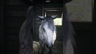 999 Doesnt know this  FASTEST Horse RDR2 shorts rdr2 rockstargames [upl. by Inerney]