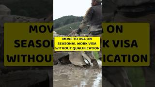 USA Seasonal work visa [upl. by Beau905]