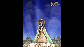 Dulce Madre I Official Proclamation Day of Our Lady of Consolation as Patroness of Intramuros [upl. by Vachil]