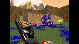 Brutal Doom v19 Some of the new enemy deaths [upl. by Leddy]