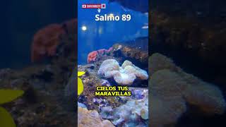 🛑 Salmo 89 Pacto de Dios con David shorts [upl. by Naraa]