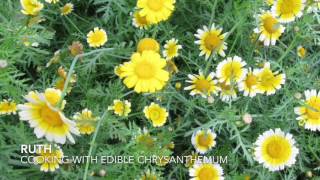 Cooking edible chrysanthemum [upl. by Ennaeiluj]