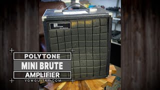 Polytone Mini Brute Amplifier  VGW [upl. by Ahseel230]