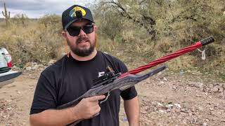 custom competition Ruger 1022 [upl. by Metcalf]