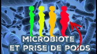 Comment votre MICROBIOTE INTESTINAL vous fait GROSSIR ou maigrir [upl. by Marylin491]