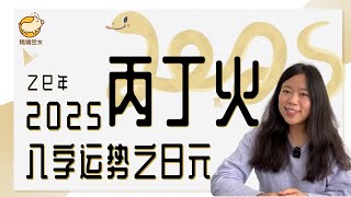 2025｜丙火丁火命主的乙巳年运势【直播回放精华版】✨猪猪运势✨ [upl. by Jemy877]